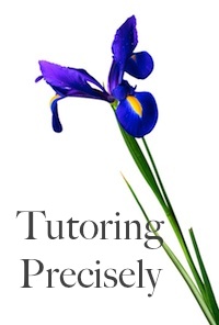 Tutoring Precisely iris logo